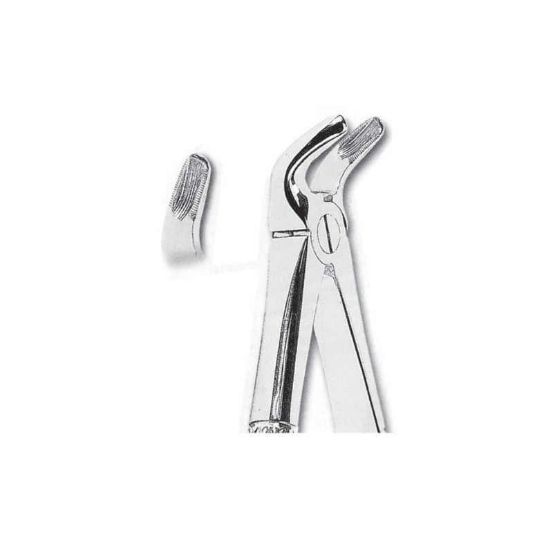 Forceps de extraccion fig 8 para premolares inferiores
