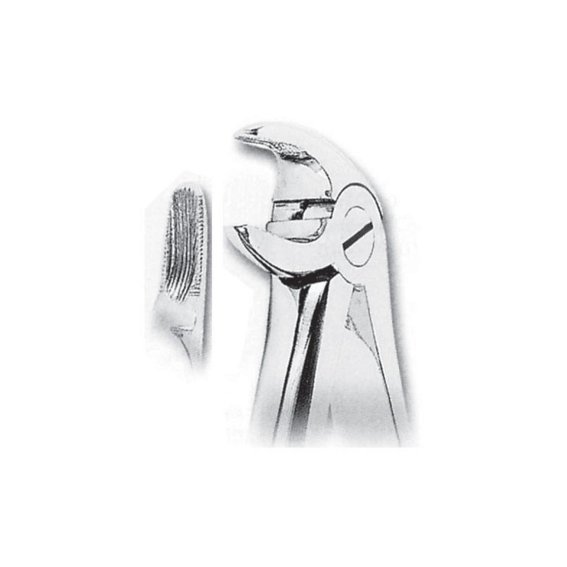 Fórceps de extracción fig. 13 para premolares inferiores