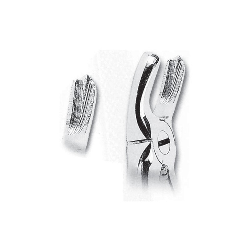 Fórceps de extracción fig 18 para molares superiores izquierdos