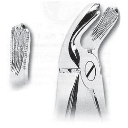 Fórceps de extracción fig 21 para molares inferiores