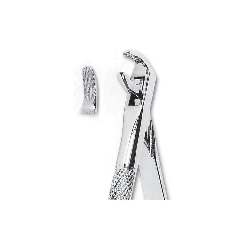 Forceps de extraccion fig 75 para caninos y premolares inferiores