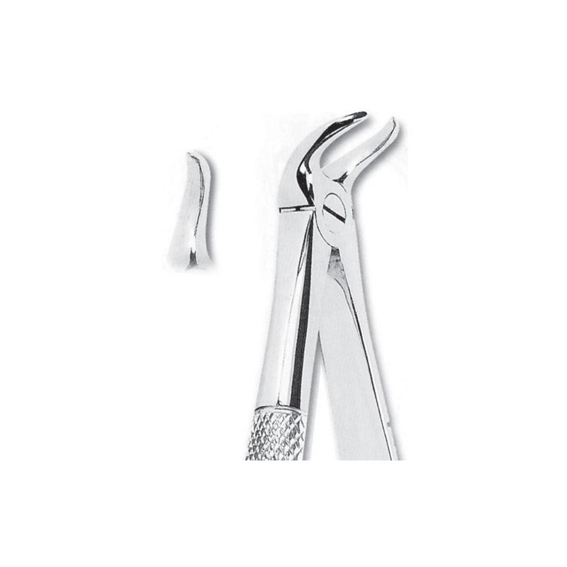 Forceps fig 87 para molares inferiores cariados con coronas rotas