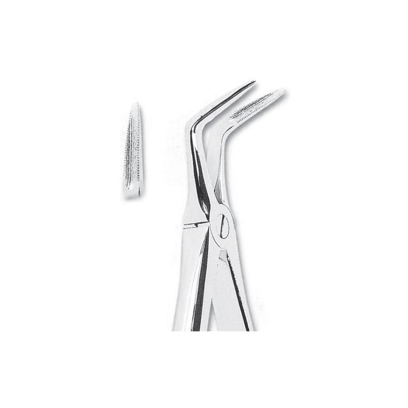 Fórceps de extracción fig 145 para raíces inferiores