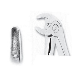 Fórceps de extracción para niños fig 05 incisivos inferiores