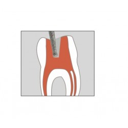 802L-FG Fresa endodoncia redonda larga con cuello